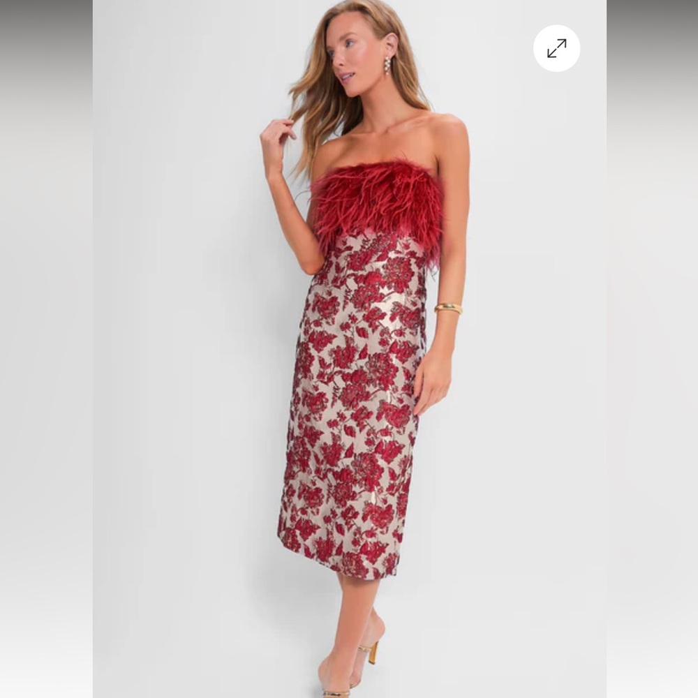 Tuckernuck Red and White Strapless Dress